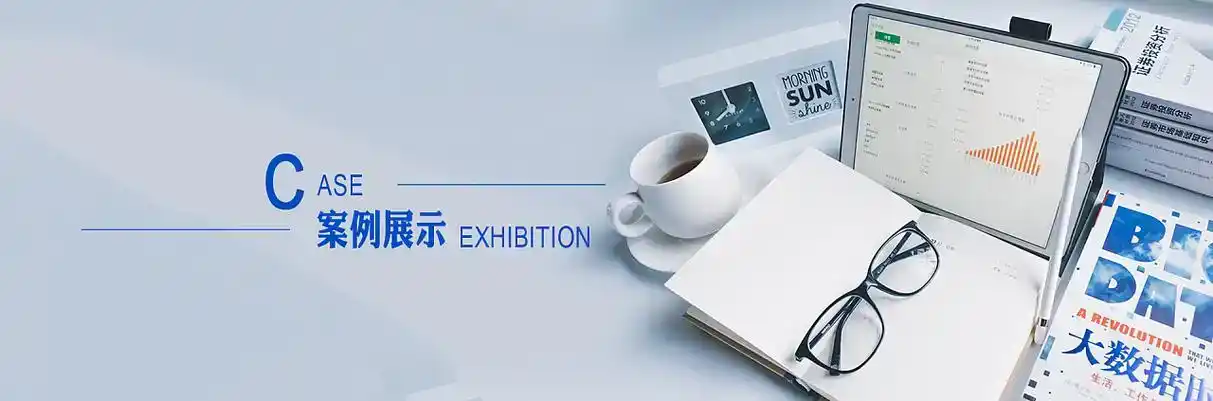 龙岩软件开发